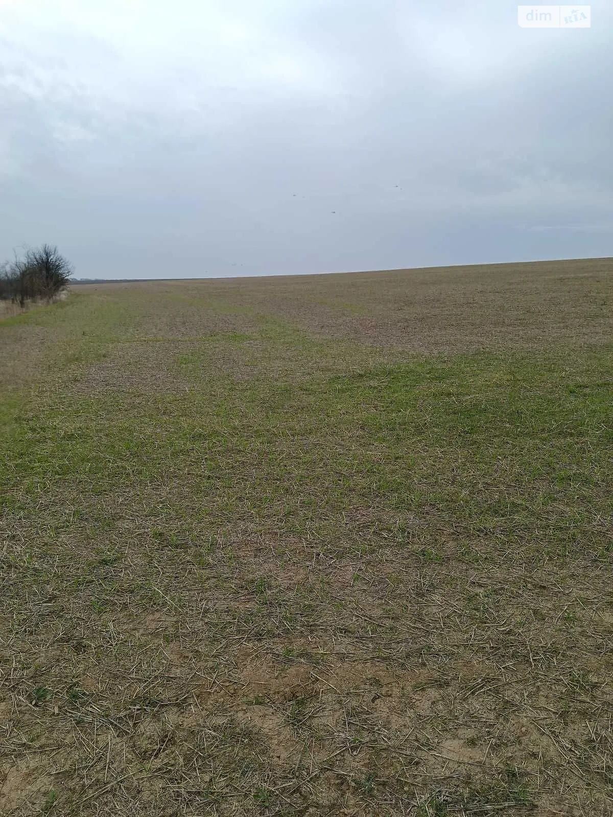Сдается в аренду земельный участок 20 соток в Одесской области, цена: 55886 грн - фото 1