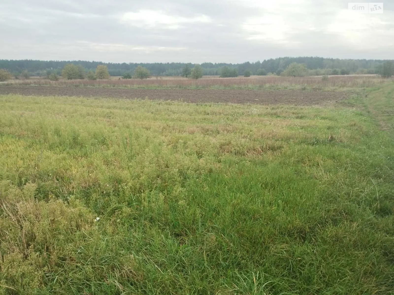 Здається в оренду земельна ділянка 14.9423 соток у області, цена: 14804 грн - фото 1