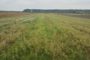 Аренда участков