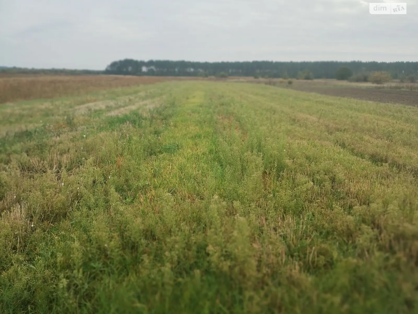 Немовичи, цена: 14804 грн - фото 1