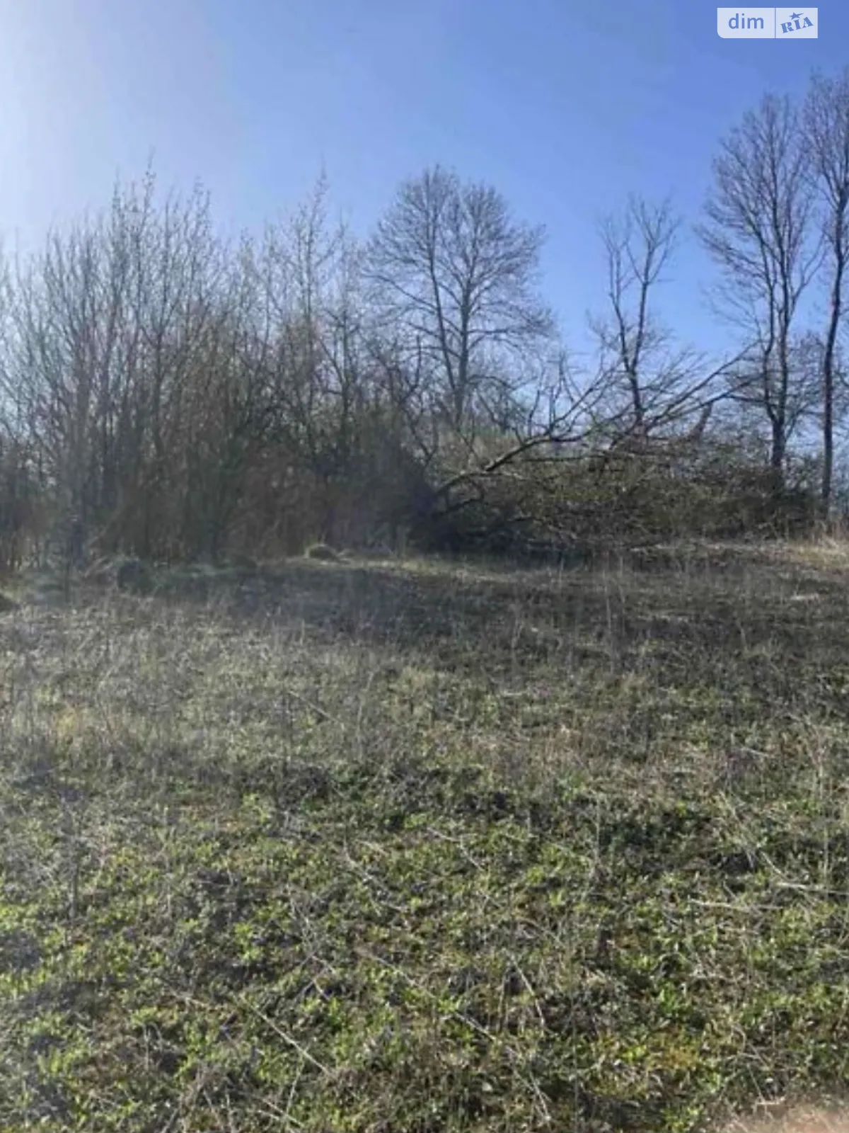 Продается земельный участок 9.5 соток в Хмельницкой области, цена: 4000 $ - фото 1
