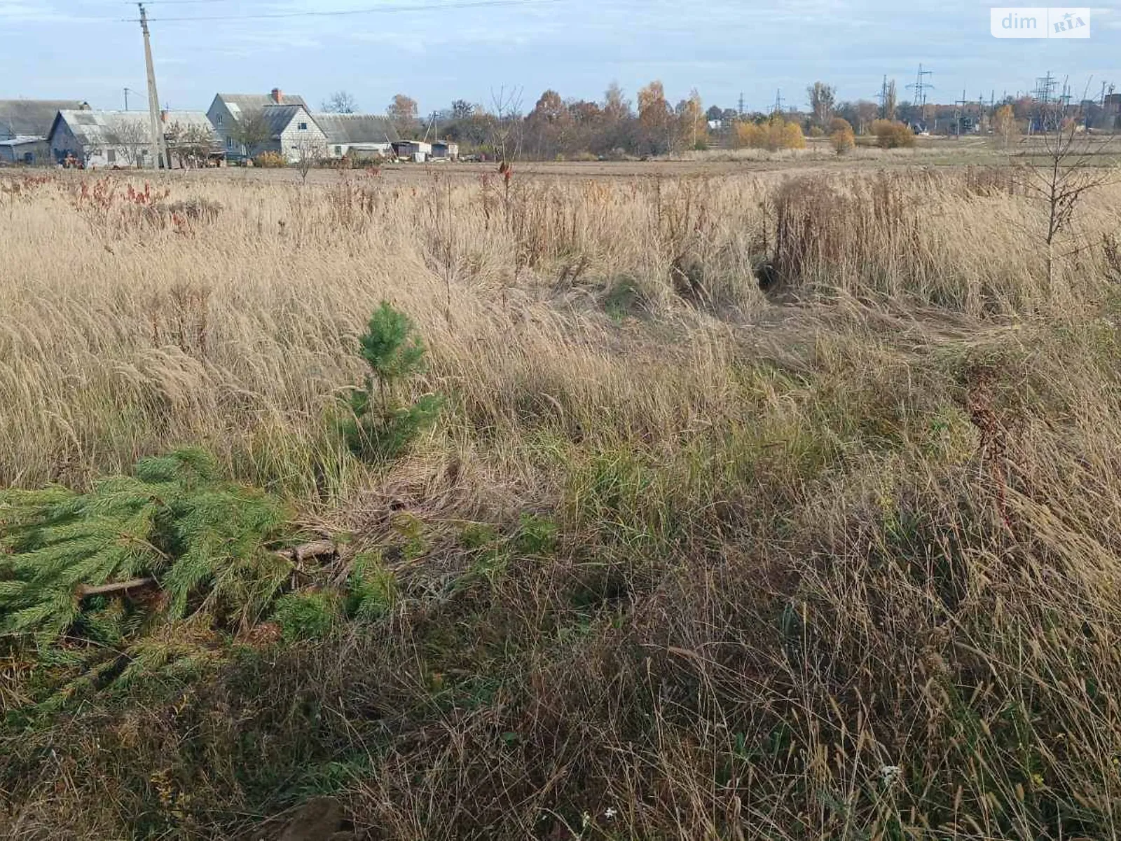 Продается земельный участок 0.3 соток в Волынской области, цена: 387420 грн - фото 1