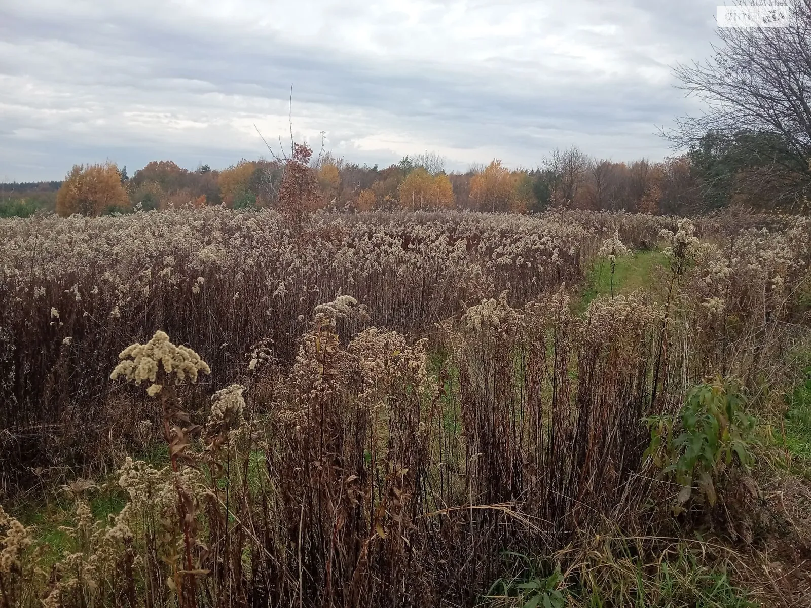 Сдается в аренду земельный участок 10.4288 соток в Львовской области, цена: 15820 грн - фото 1