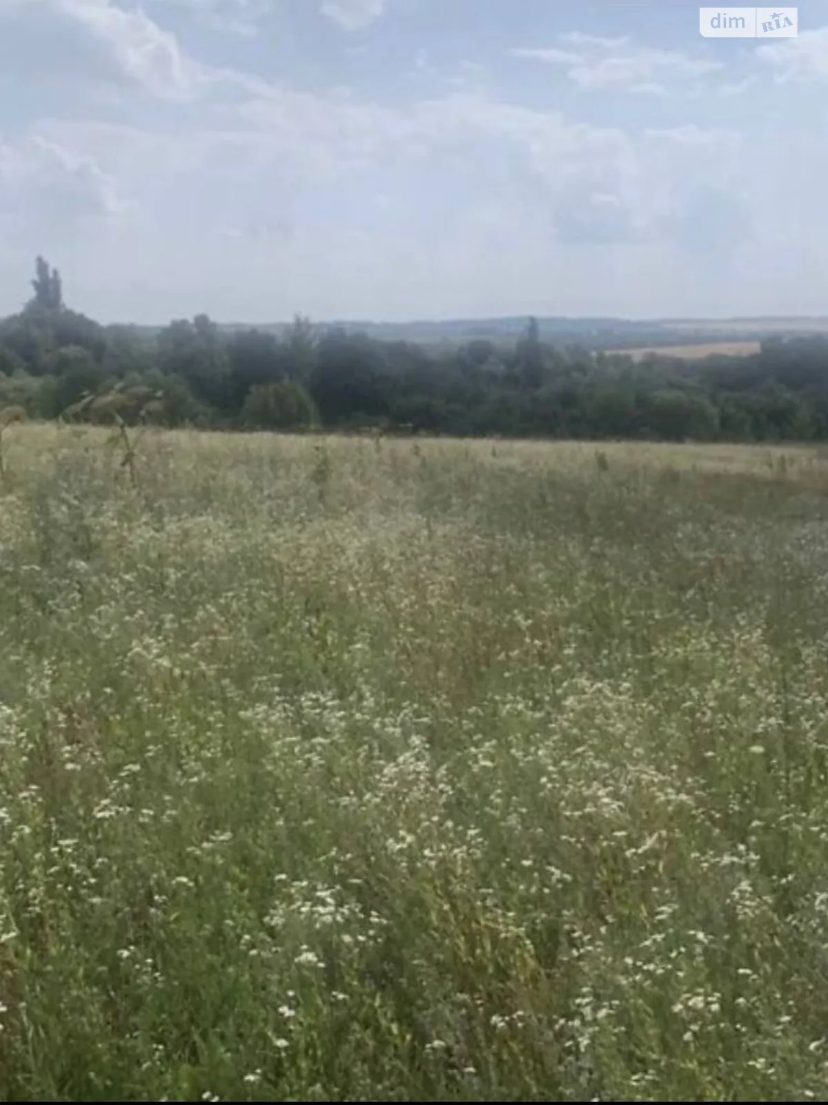 Продается земельный участок 9.5 соток в Хмельницкой области, цена: 4000 $ - фото 1