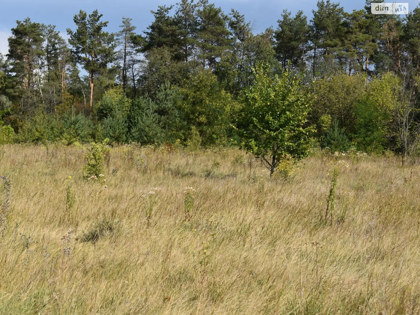 Боромля, цена: 4775 грн - фото 1