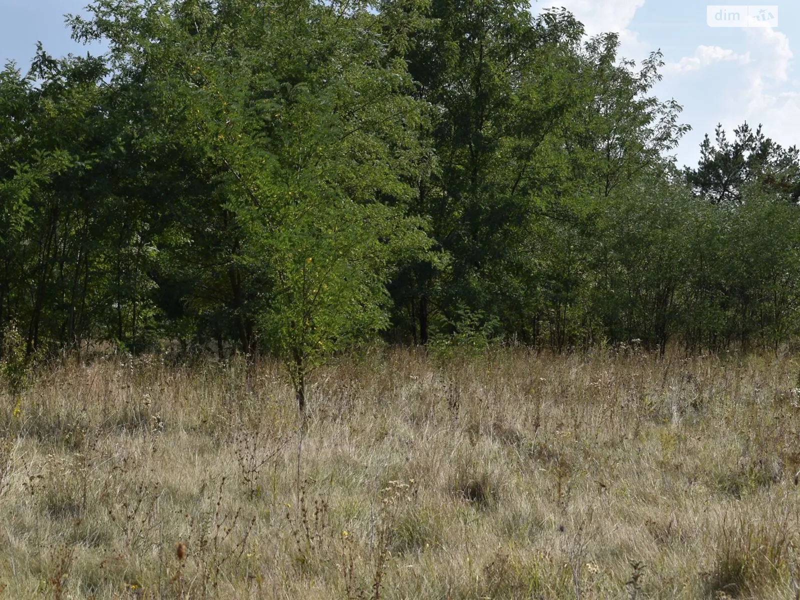 Боромля, цена: 1946 грн - фото 1