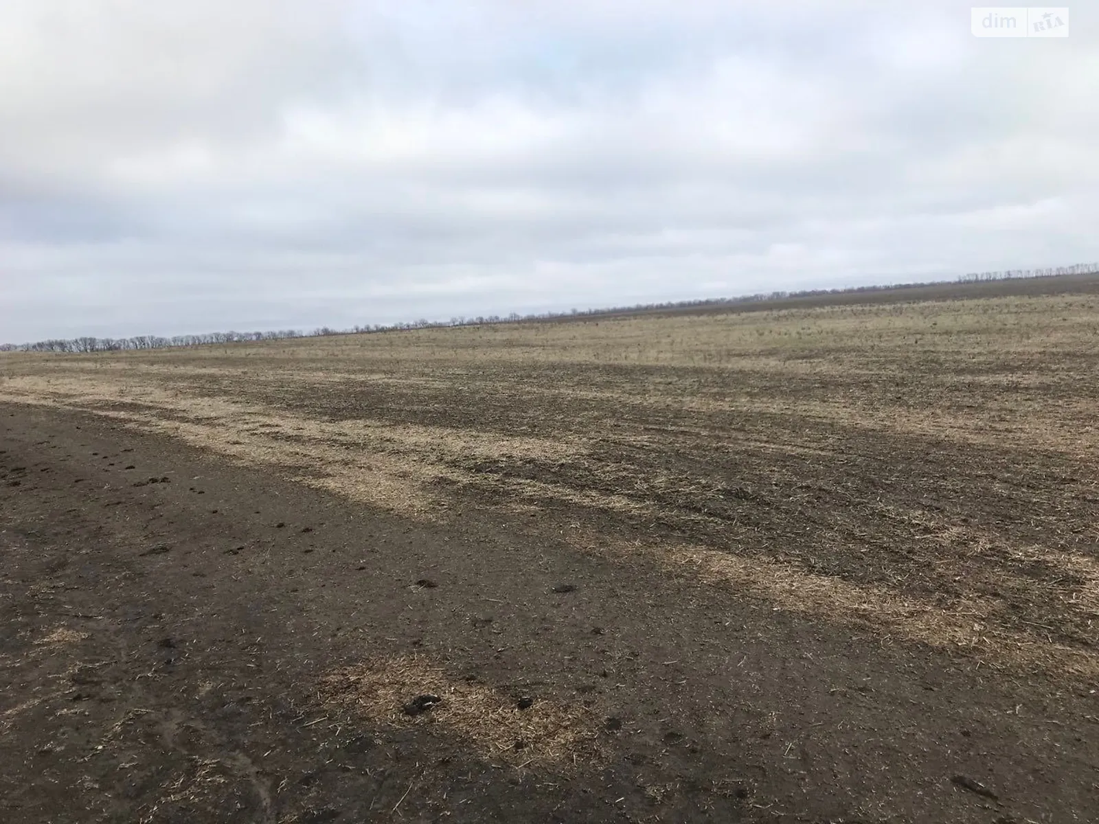 Богданівка (Павлоград), цена: 76864 грн - фото 1