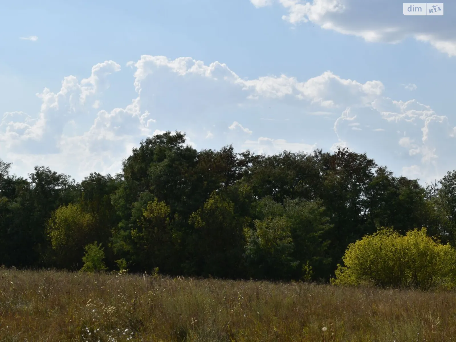 Боромля, цена: 2928 грн - фото 1