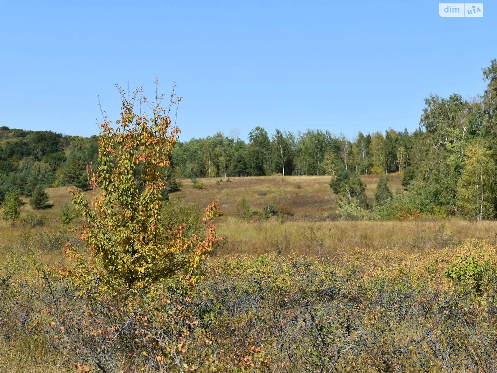 Боромля, цена: 2711 грн - фото 1