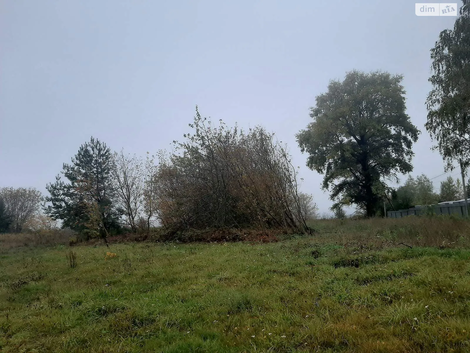 Добрин, цена: 3520 грн - фото 1