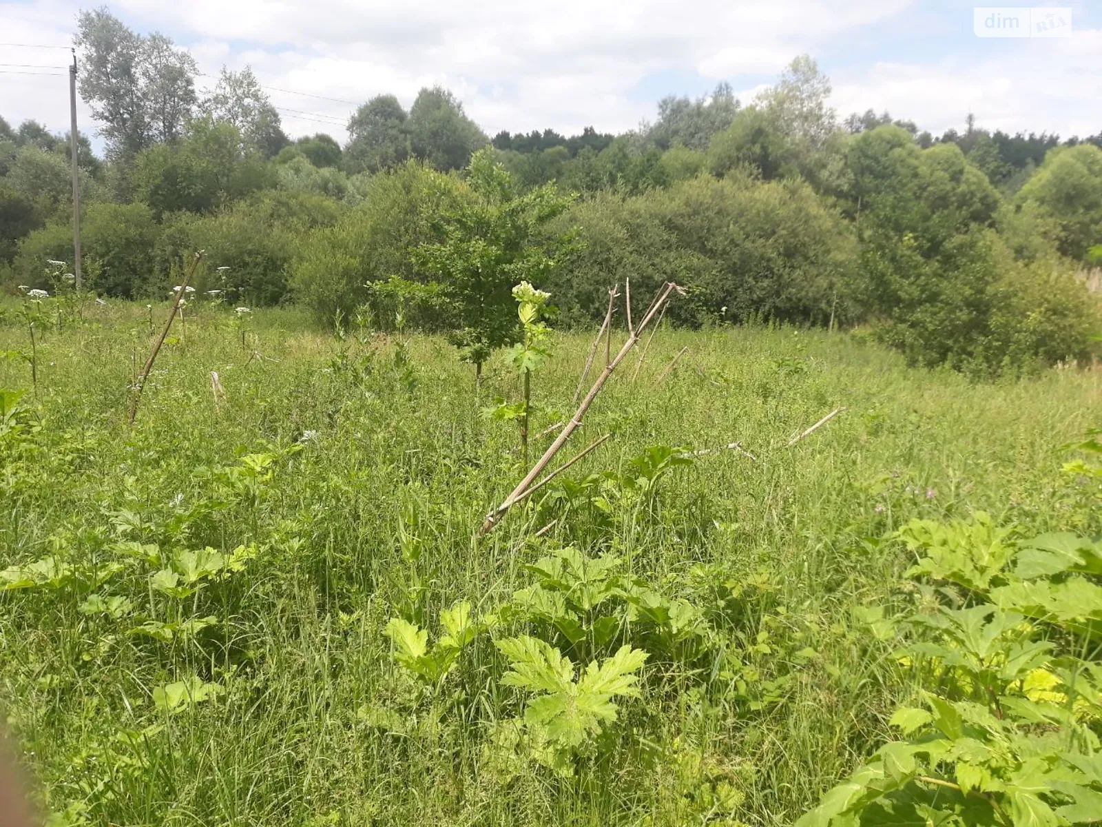 Нивочин, цена: 840 грн - фото 1