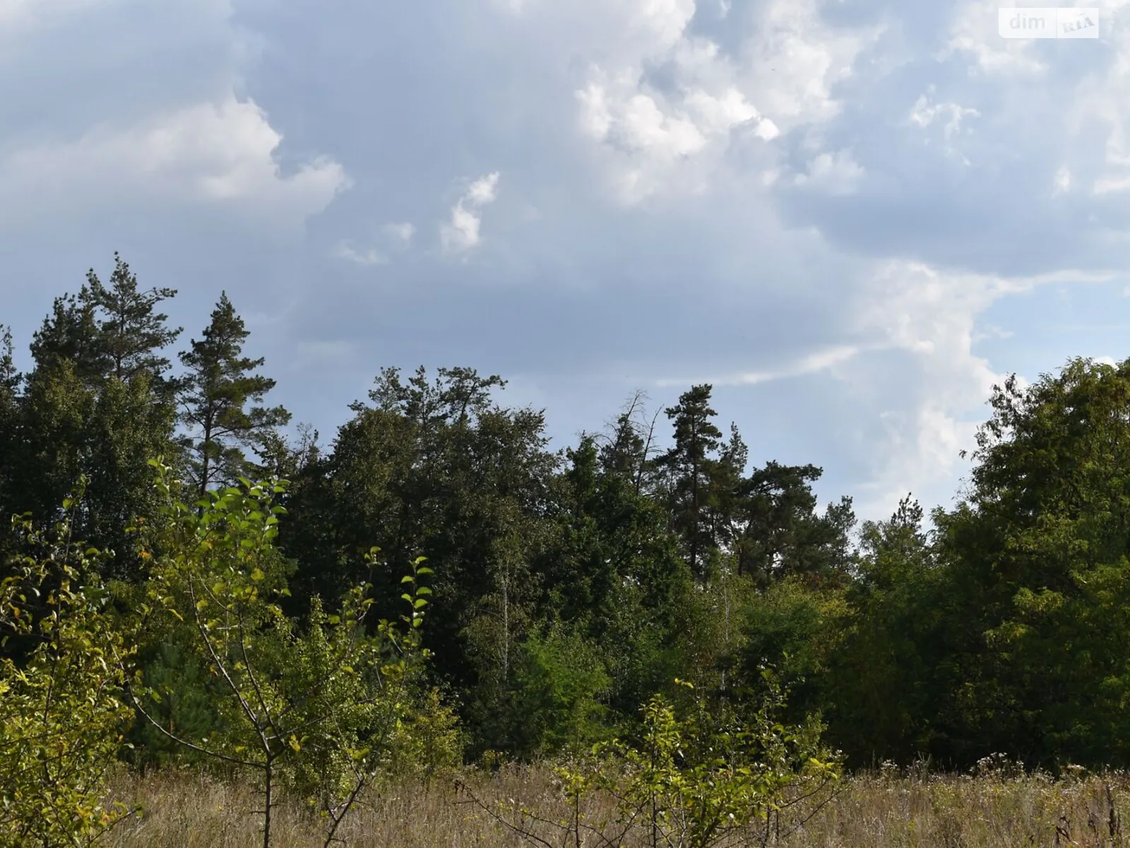 Боромля, цена: 3486 грн - фото 1