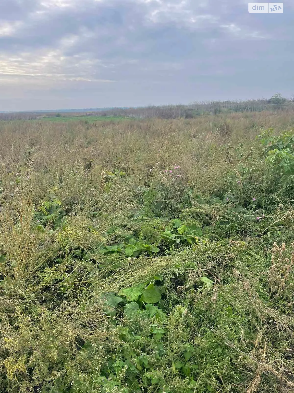 Пустовійти, цена: 3771 грн - фото 1