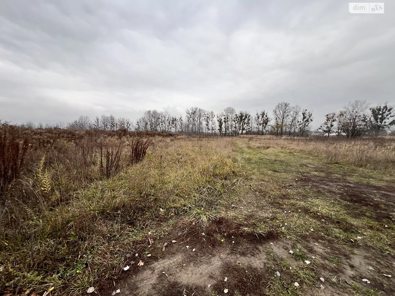 Калинова Гостомель, цена: 35000 $ - фото 1