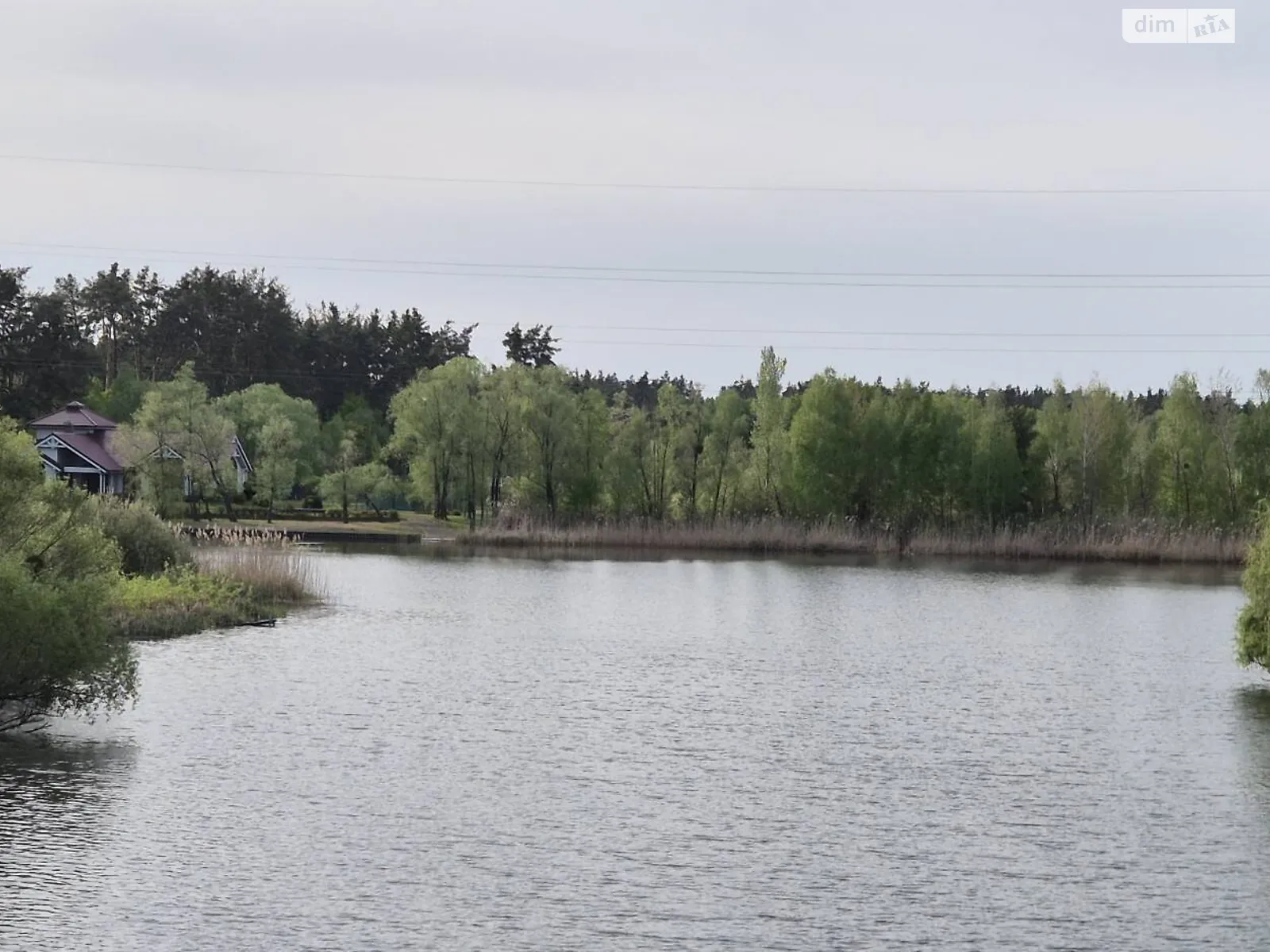 мас. Оріяна Плюти, цена: 270000 $ - фото 1