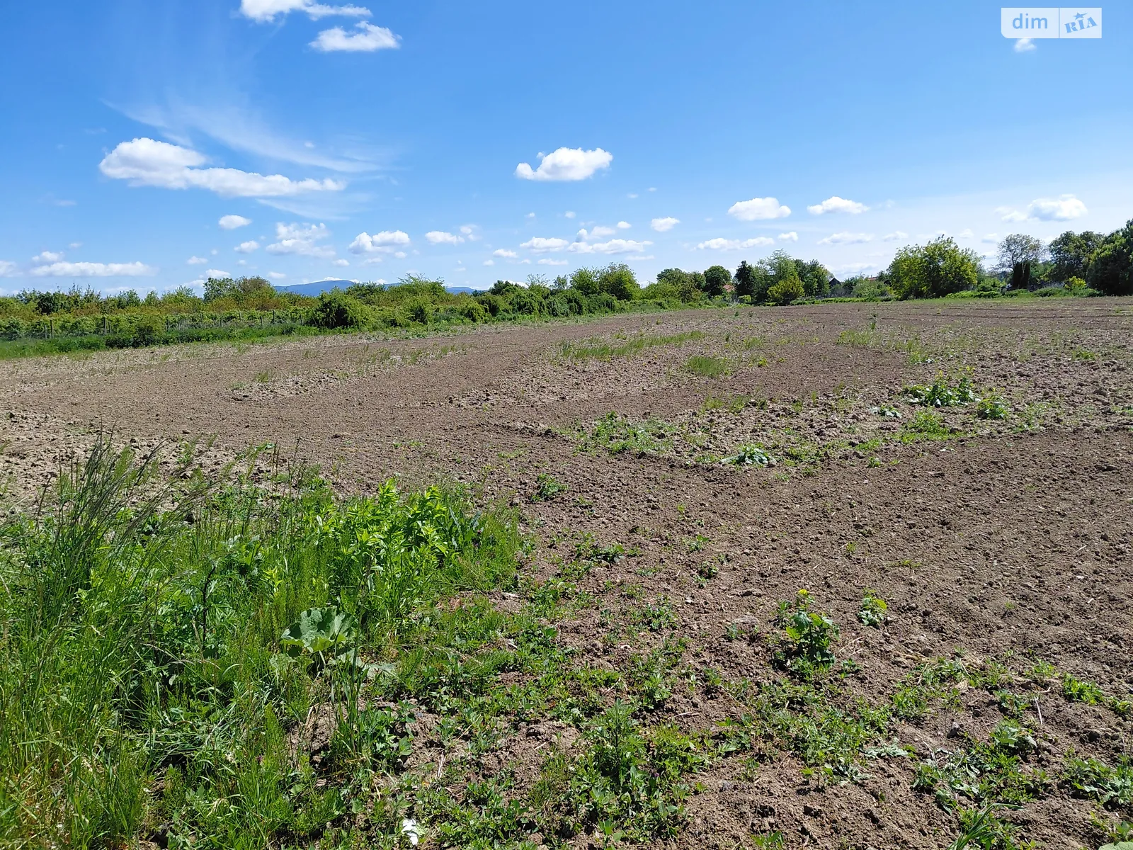 Тарновцы, цена: 27000 $ - фото 1