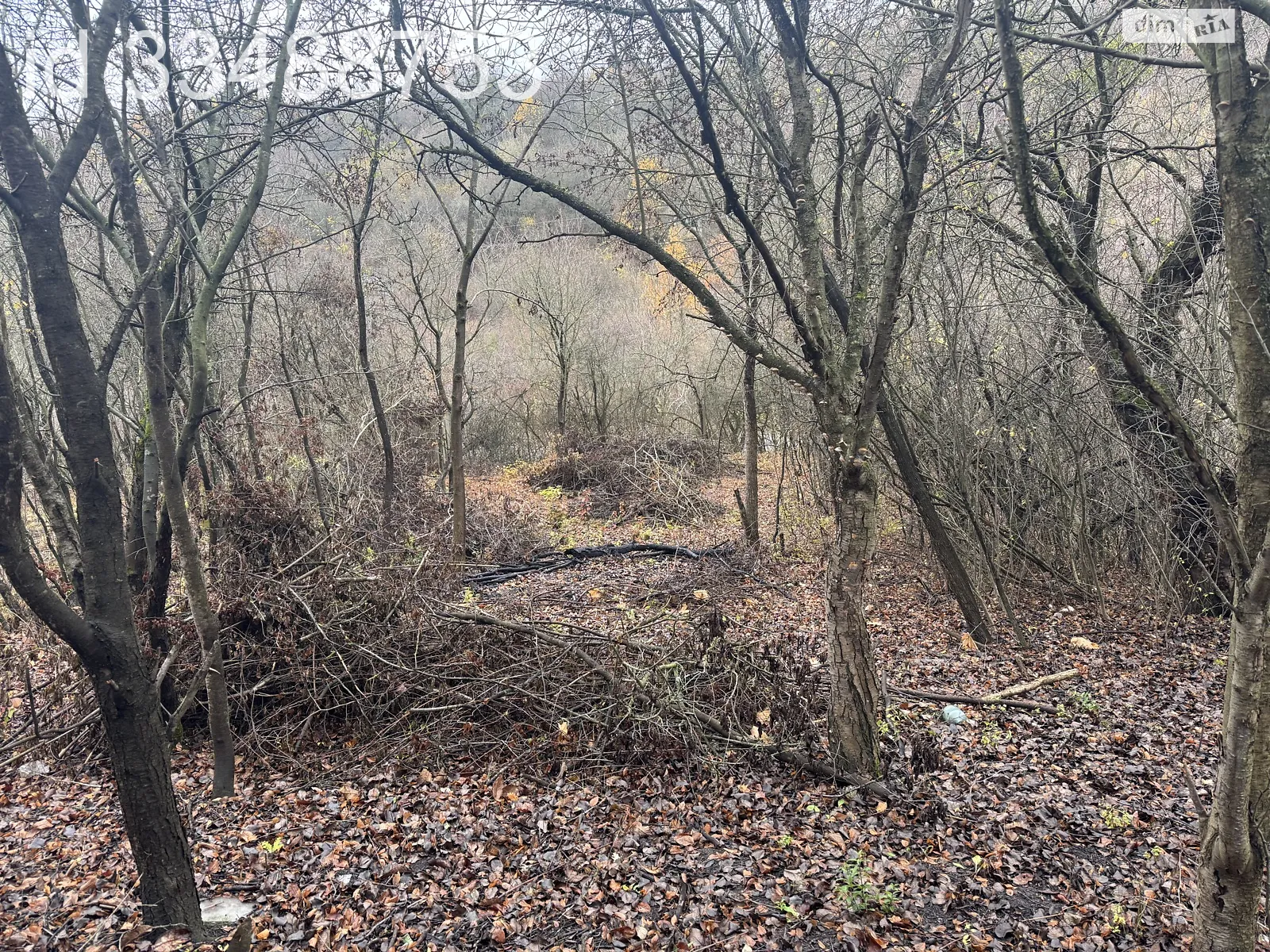 Продается земельный участок 0.0428 соток в Львовской области, цена: 8600 $ - фото 1