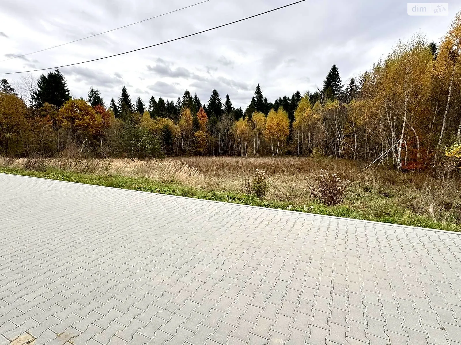 Продается земельный участок 10 соток в Львовской области, цена: 45000 $ - фото 1