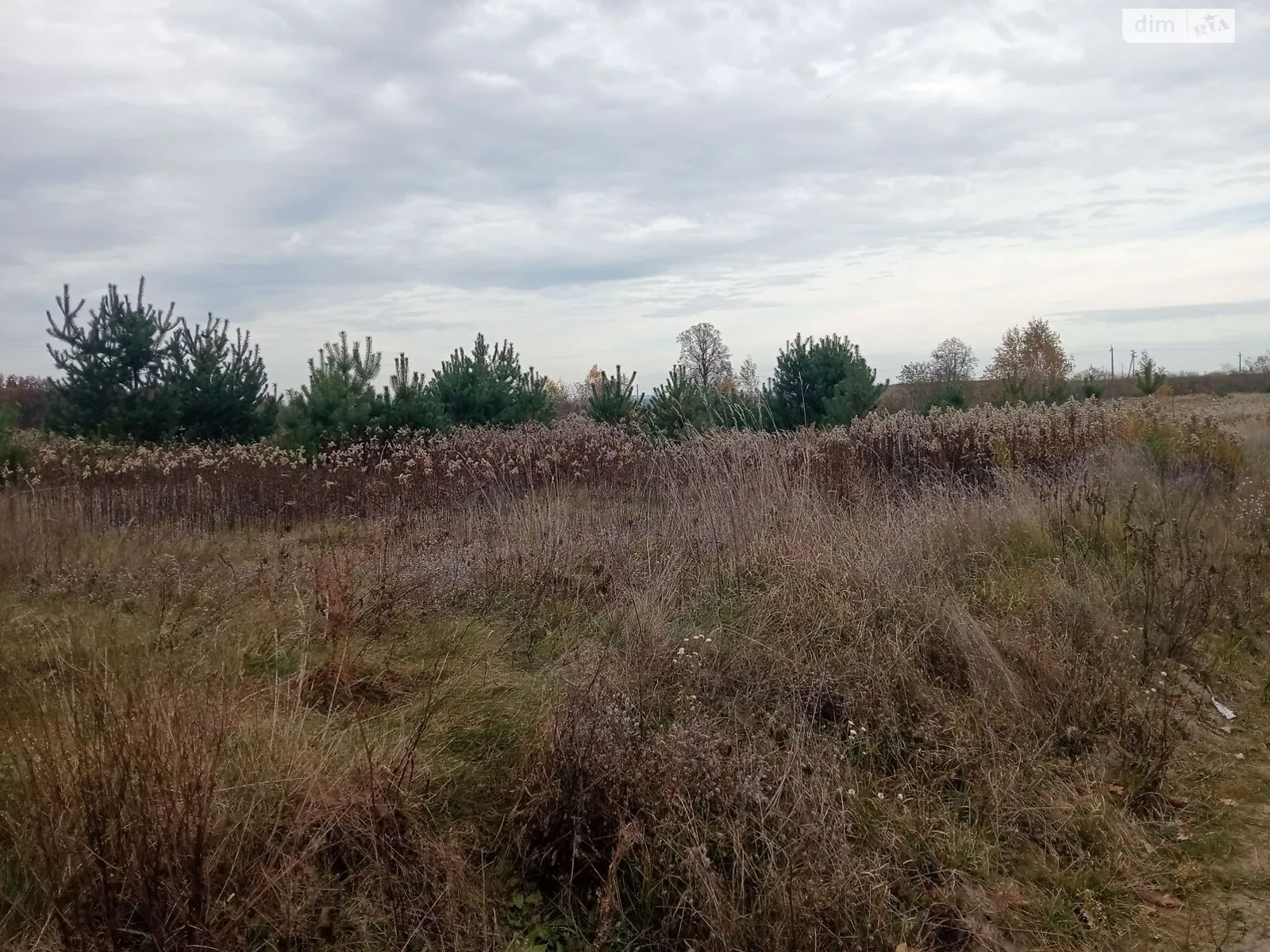 Чернилява, цена: 15755 грн - фото 1