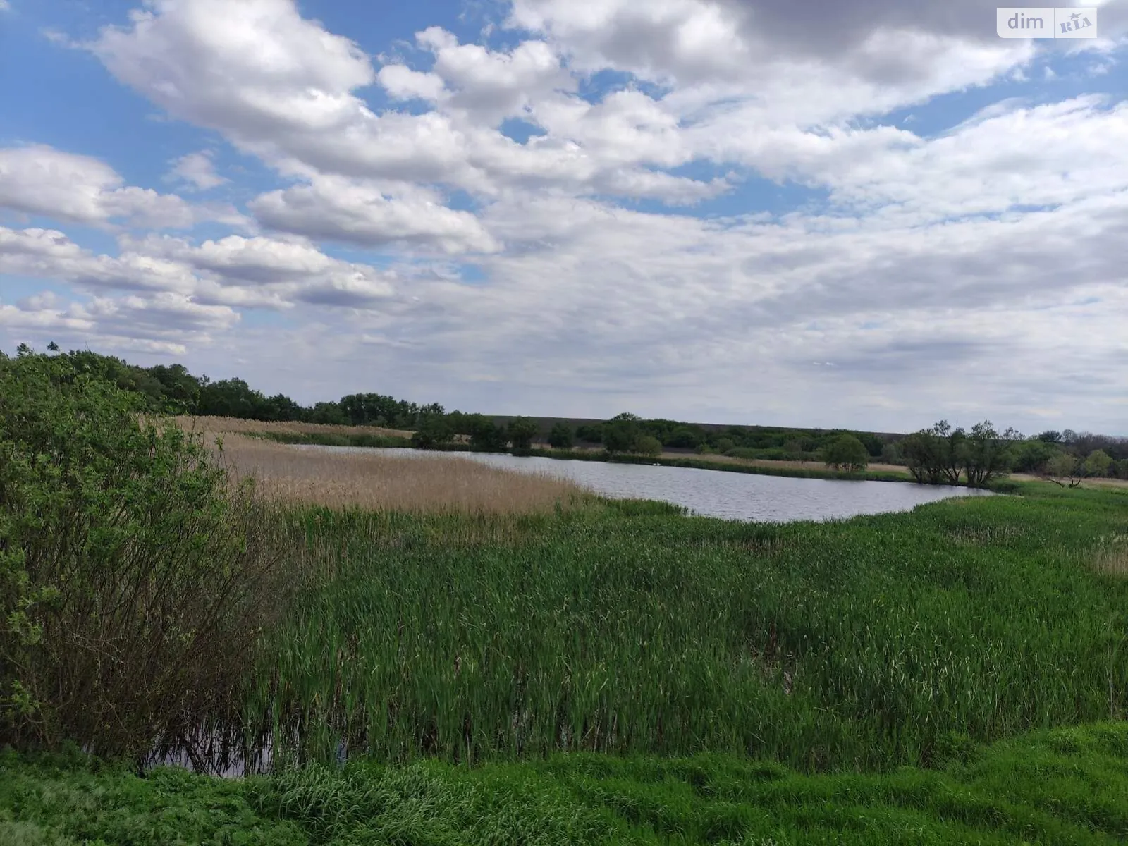 Сдается в аренду земельный участок 3.3 соток в Кировоградской области, цена: 6542 грн - фото 1