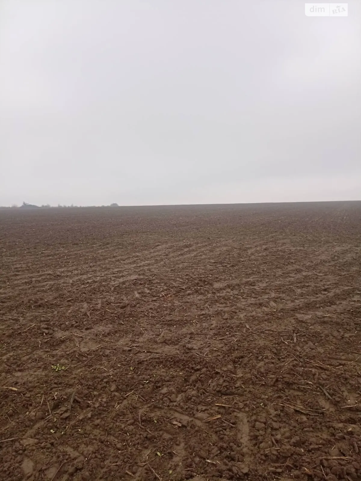 Сдается в аренду земельный участок 2 соток в Хмельницкой области, цена: 5864 грн - фото 1