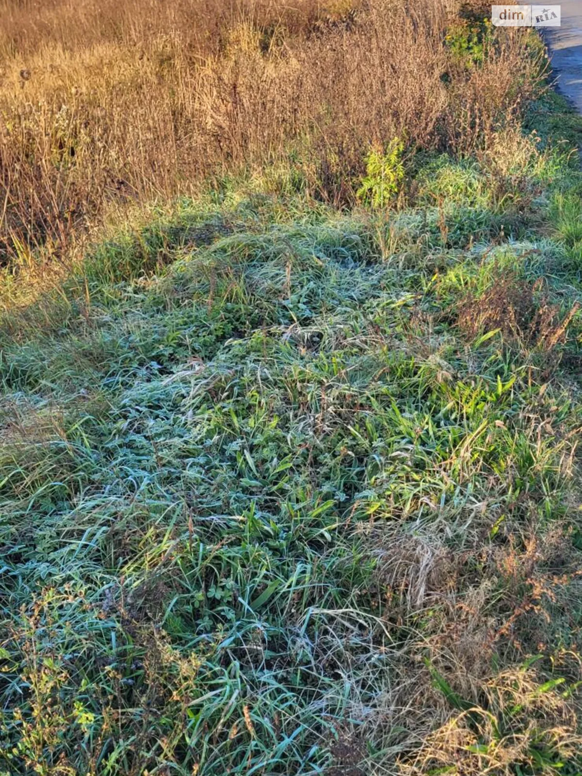 Здається в оренду земельна ділянка 0.3 соток у Закарпатській області, цена: 410391 грн - фото 1