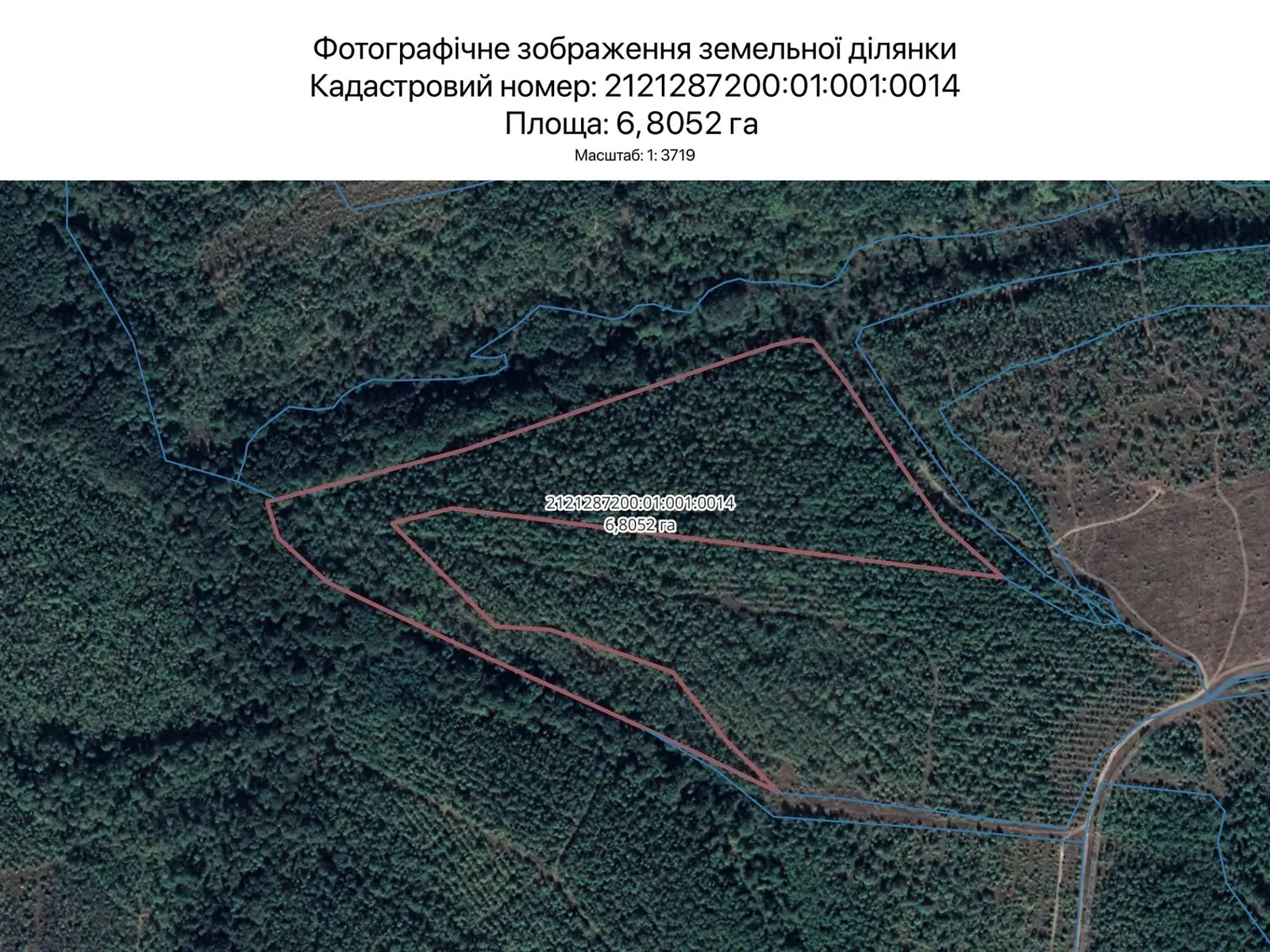 Здається в оренду земельна ділянка 6.8052 соток у Закарпатській області, цена: 31015 грн - фото 1