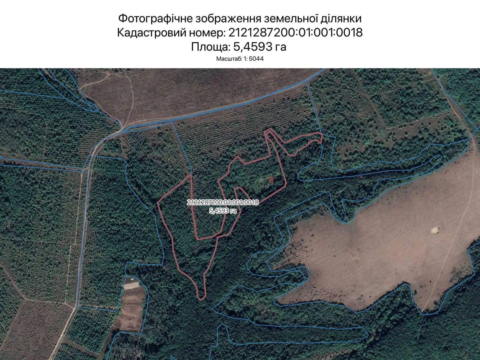Здається в оренду земельна ділянка 5.4593 соток у Закарпатській області, цена: 29380 грн - фото 1