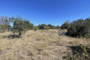 Продажа земли