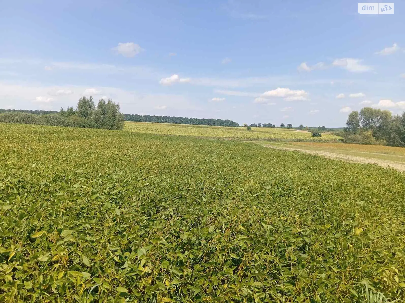 Продается земельный участок 25 соток в Хмельницкой области, цена: 21500 $ - фото 1