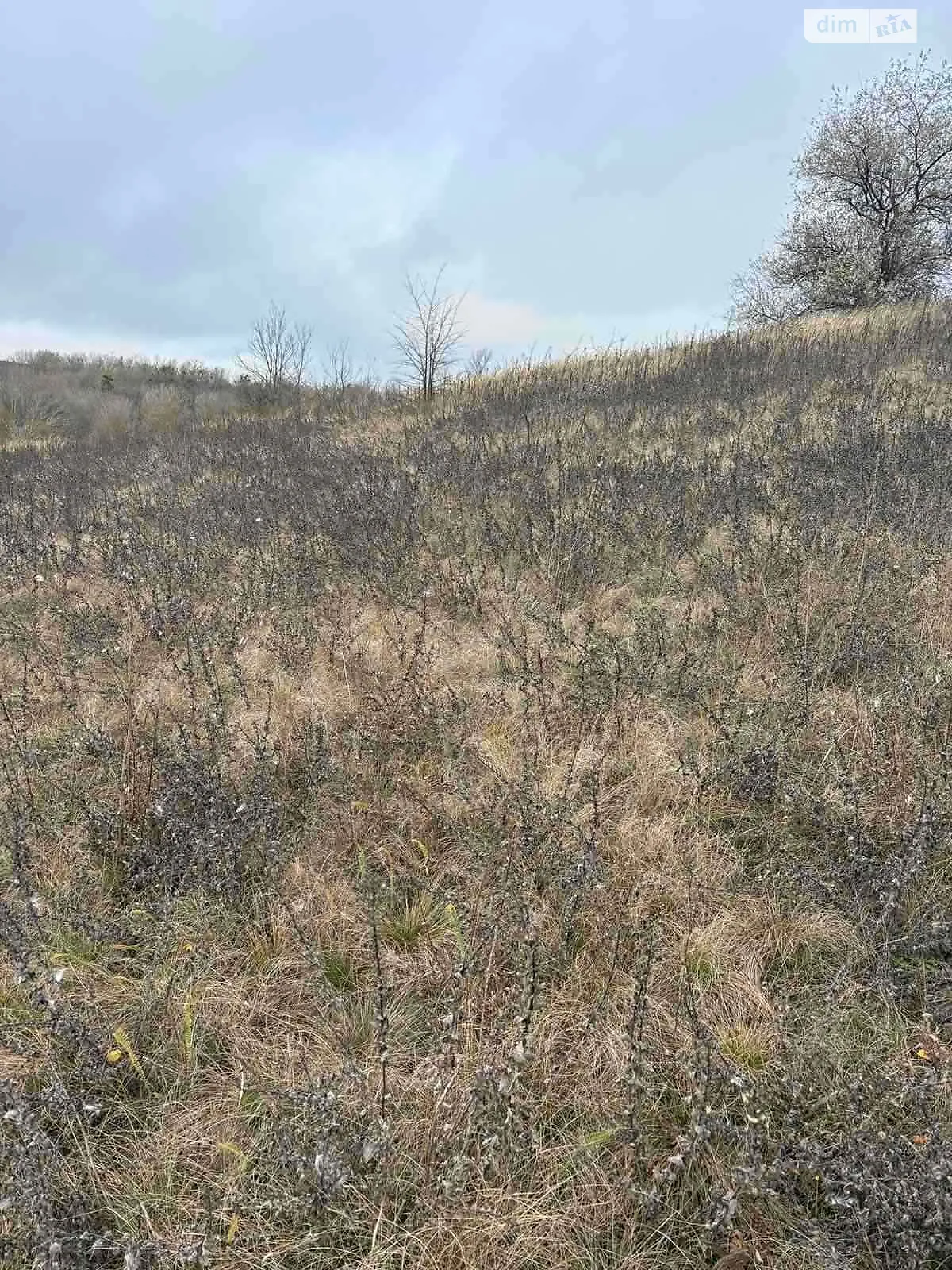 Здається в оренду земельна ділянка 12 соток у Черкаській області, цена: 51590 грн - фото 1