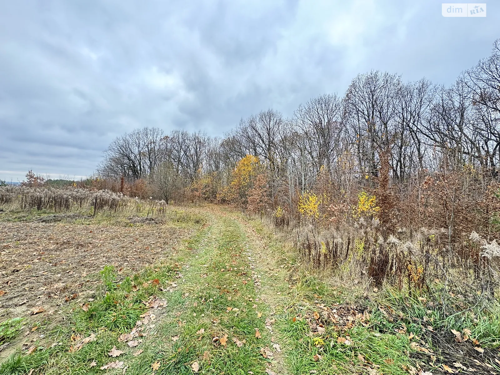 ул. Липовая Якушинцы, цена: 10000 $ - фото 1