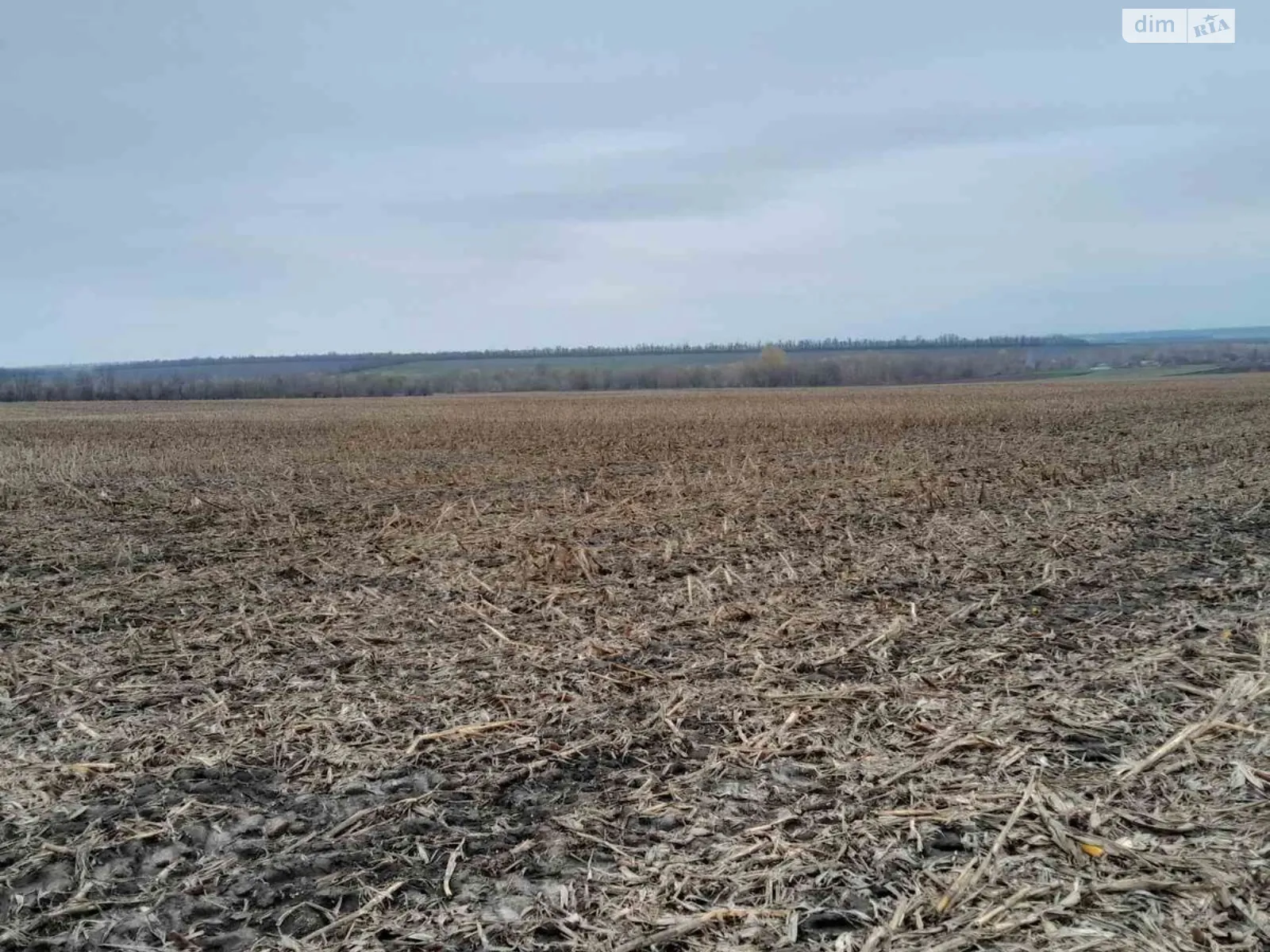 Сдается в аренду земельный участок 7.7034 соток в области, цена: 34933 грн - фото 1
