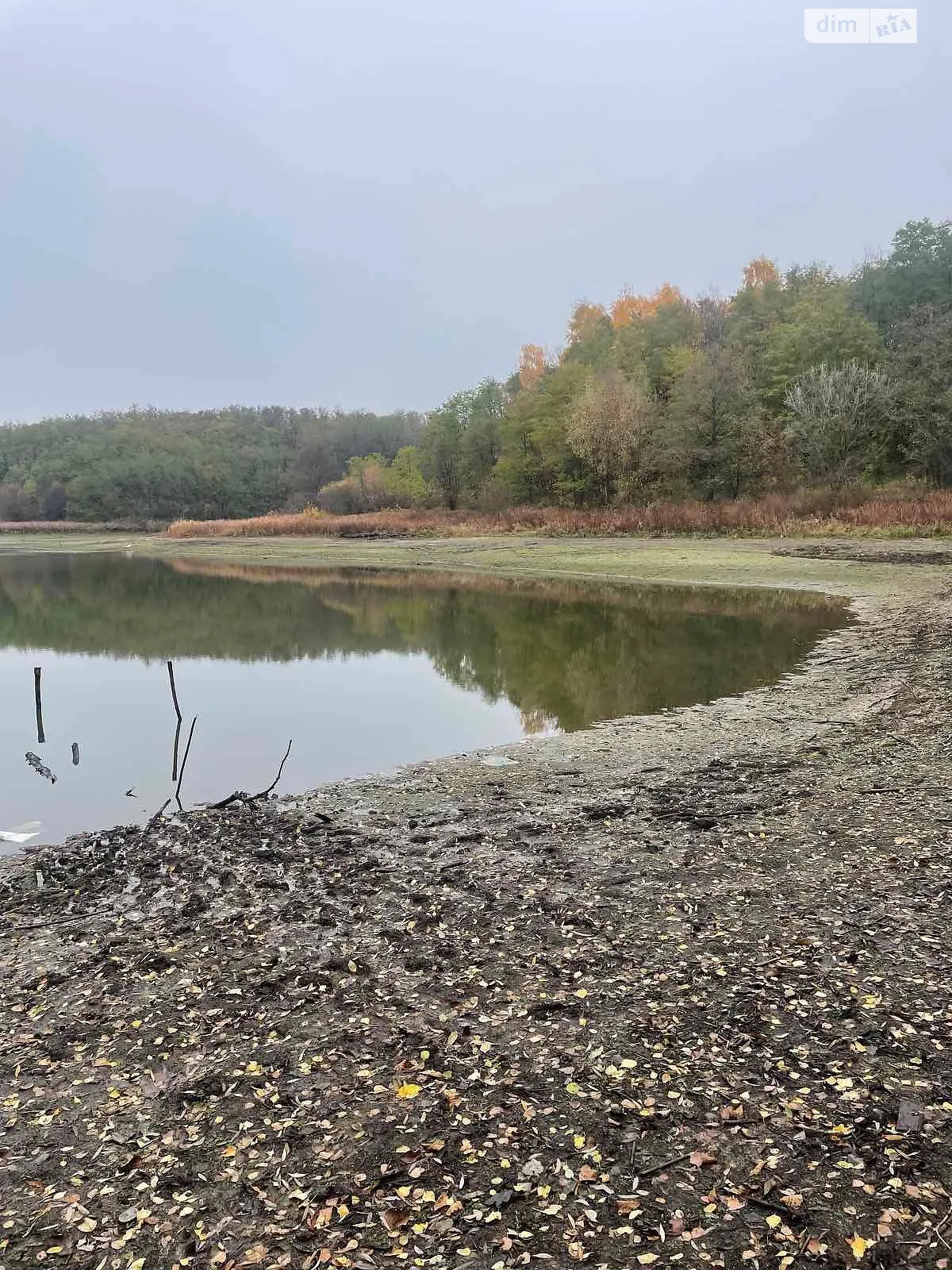 Сдается в аренду земельный участок 38.8 соток в области, цена: 34267 грн - фото 1