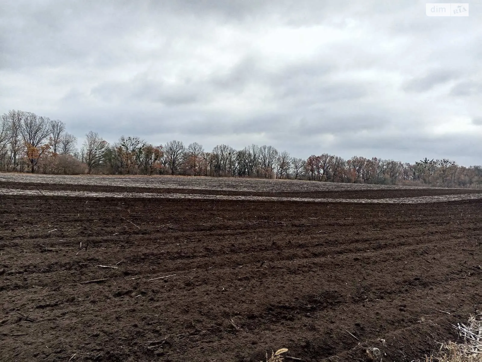 Сдается в аренду земельный участок 2 соток в Полтавской области, цена: 8539 грн - фото 1