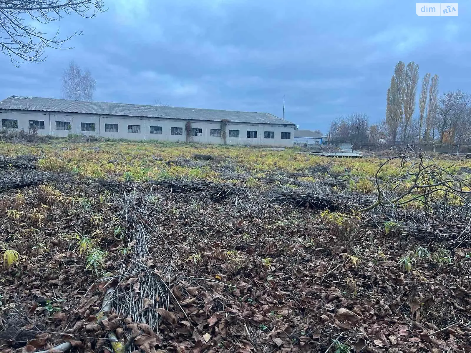 Сдается в аренду земельный участок 0.369 соток в Полтавской области, цена: 38698 грн - фото 1