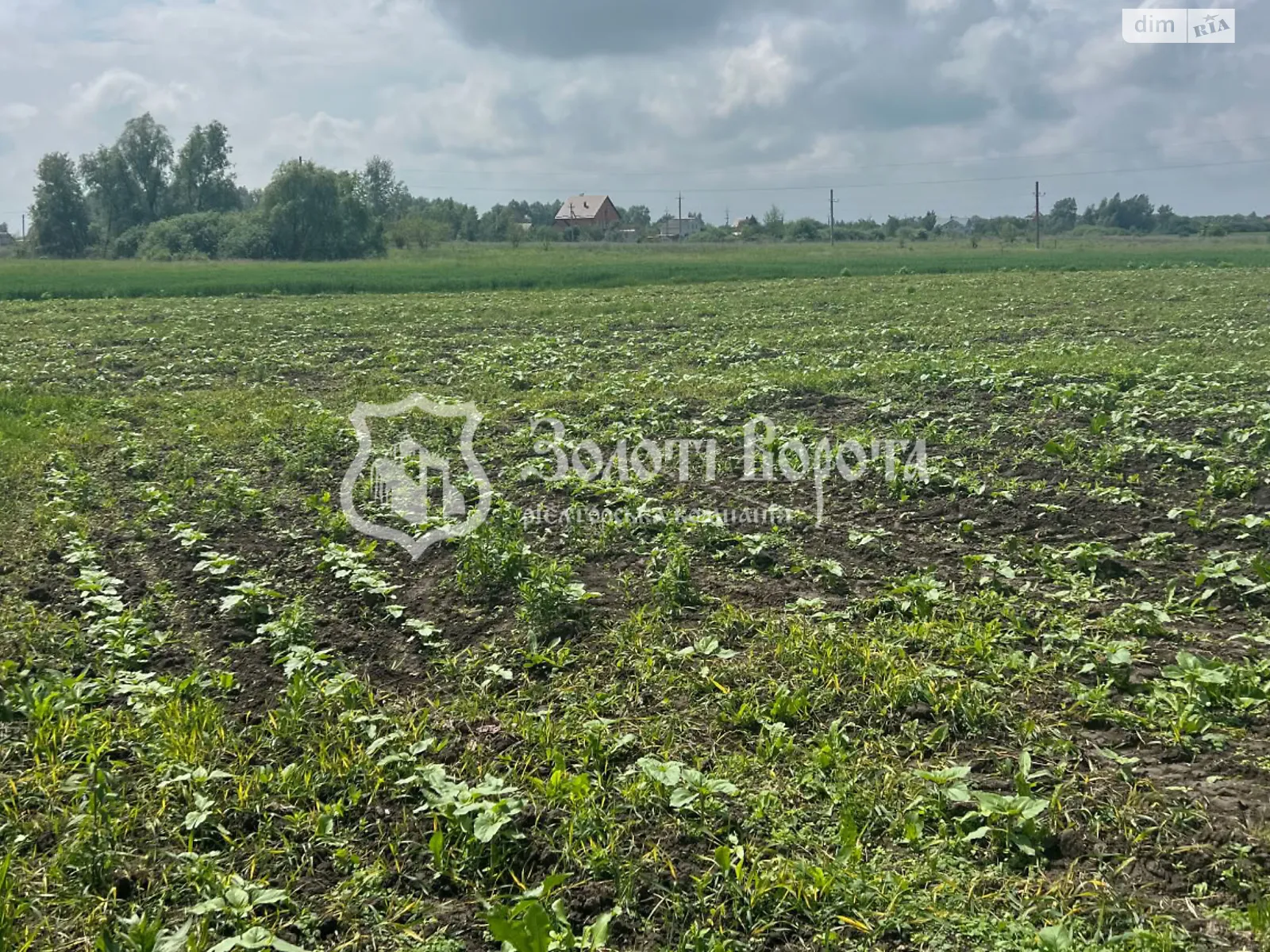 Продается земельный участок 29.48 соток в Киевской области, цена: 11000 $ - фото 1