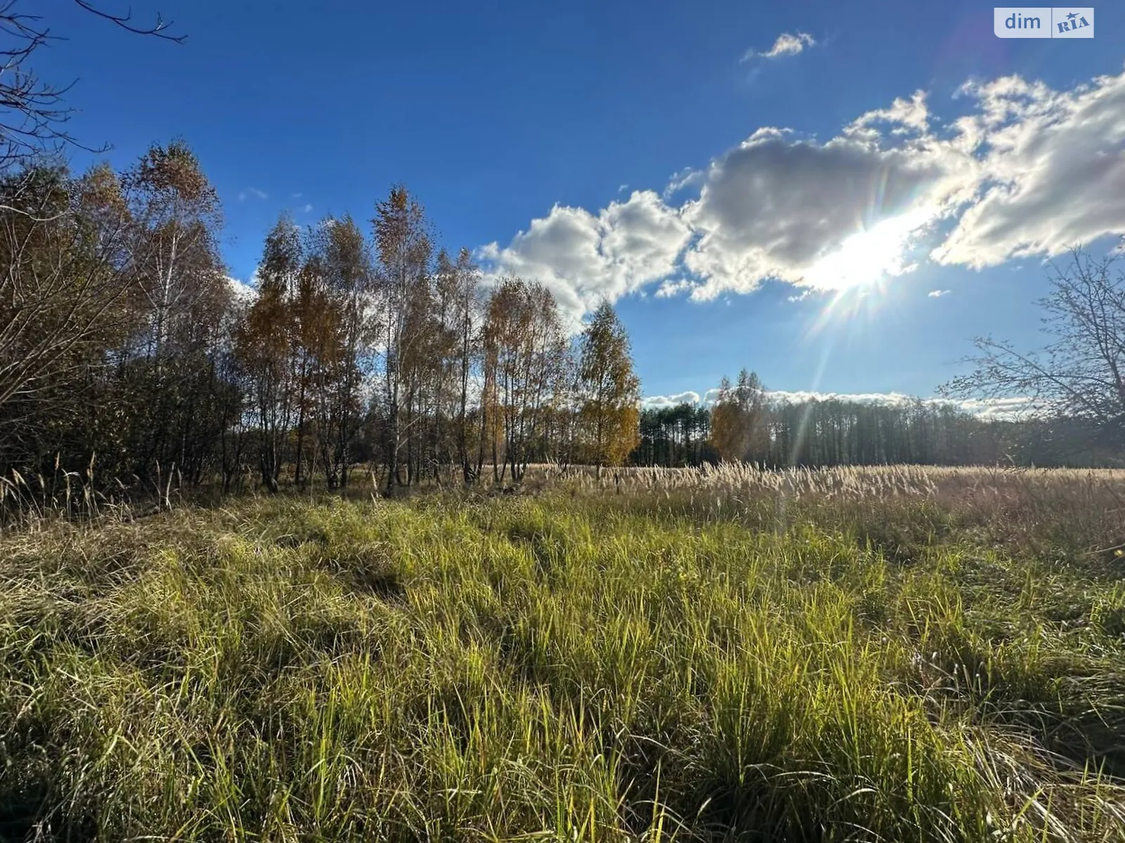 Почепин, цена: 43000 $ - фото 1