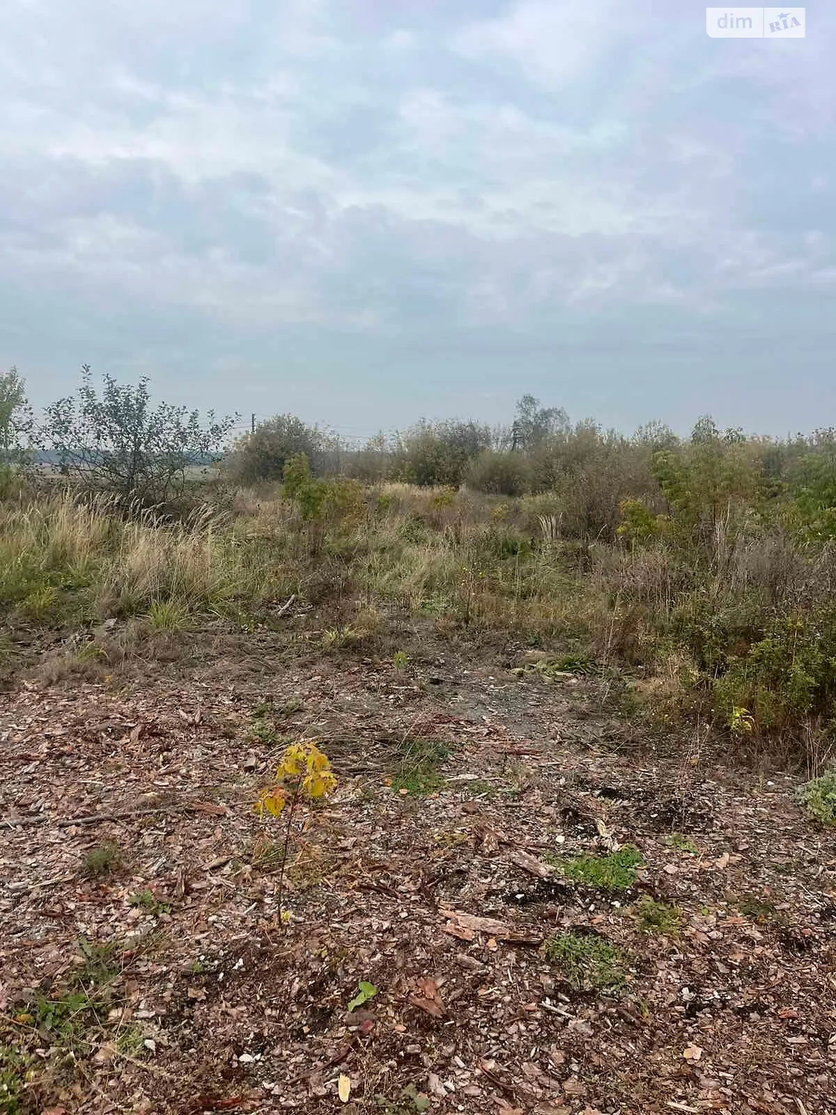 Сдается в аренду земельный участок 1.0376 соток в  области, цена: 94724 грн - фото 1