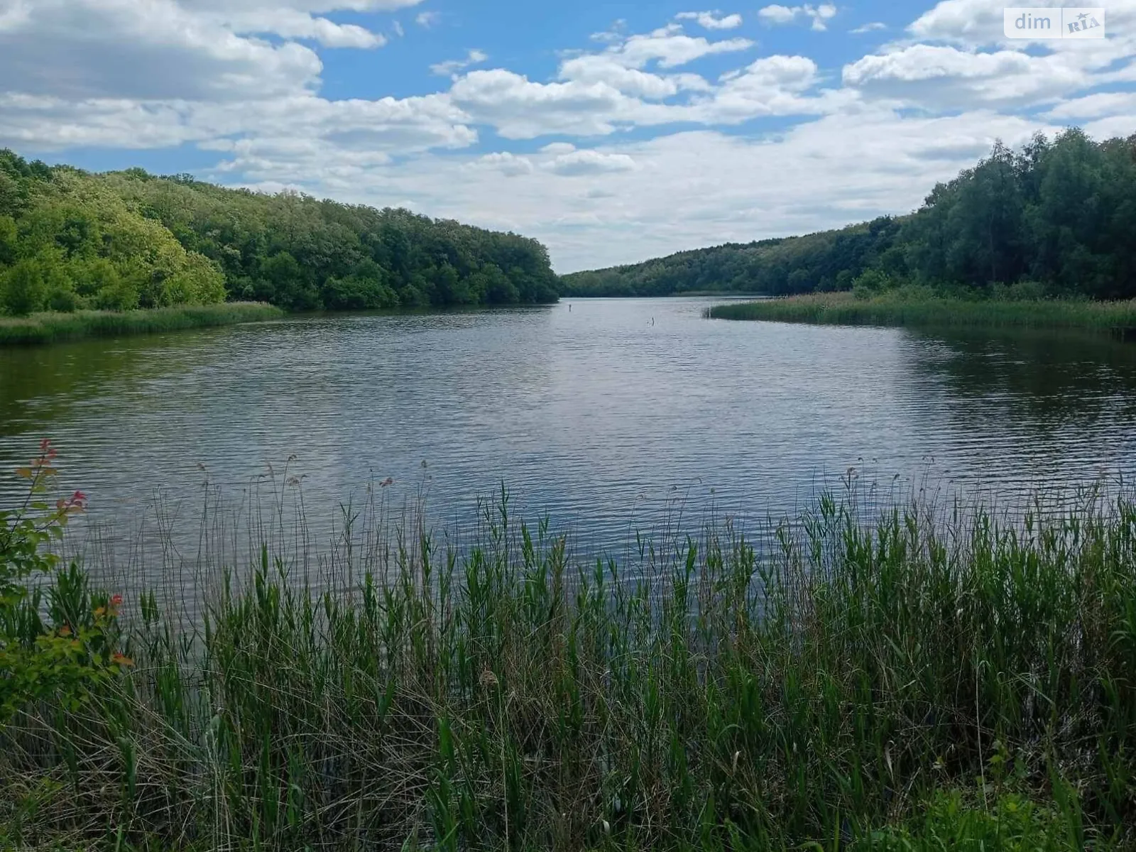 Здається в оренду земельна ділянка 8.0372 соток у Кіровоградській області, цена: 12651 грн - фото 1