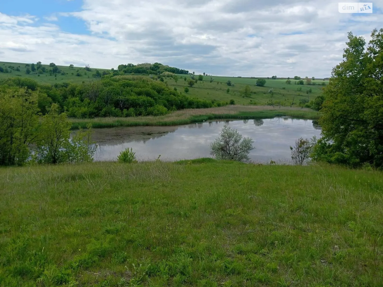 Здається в оренду земельна ділянка 4.9972 соток у Кіровоградській області, цена: 7772 грн - фото 1