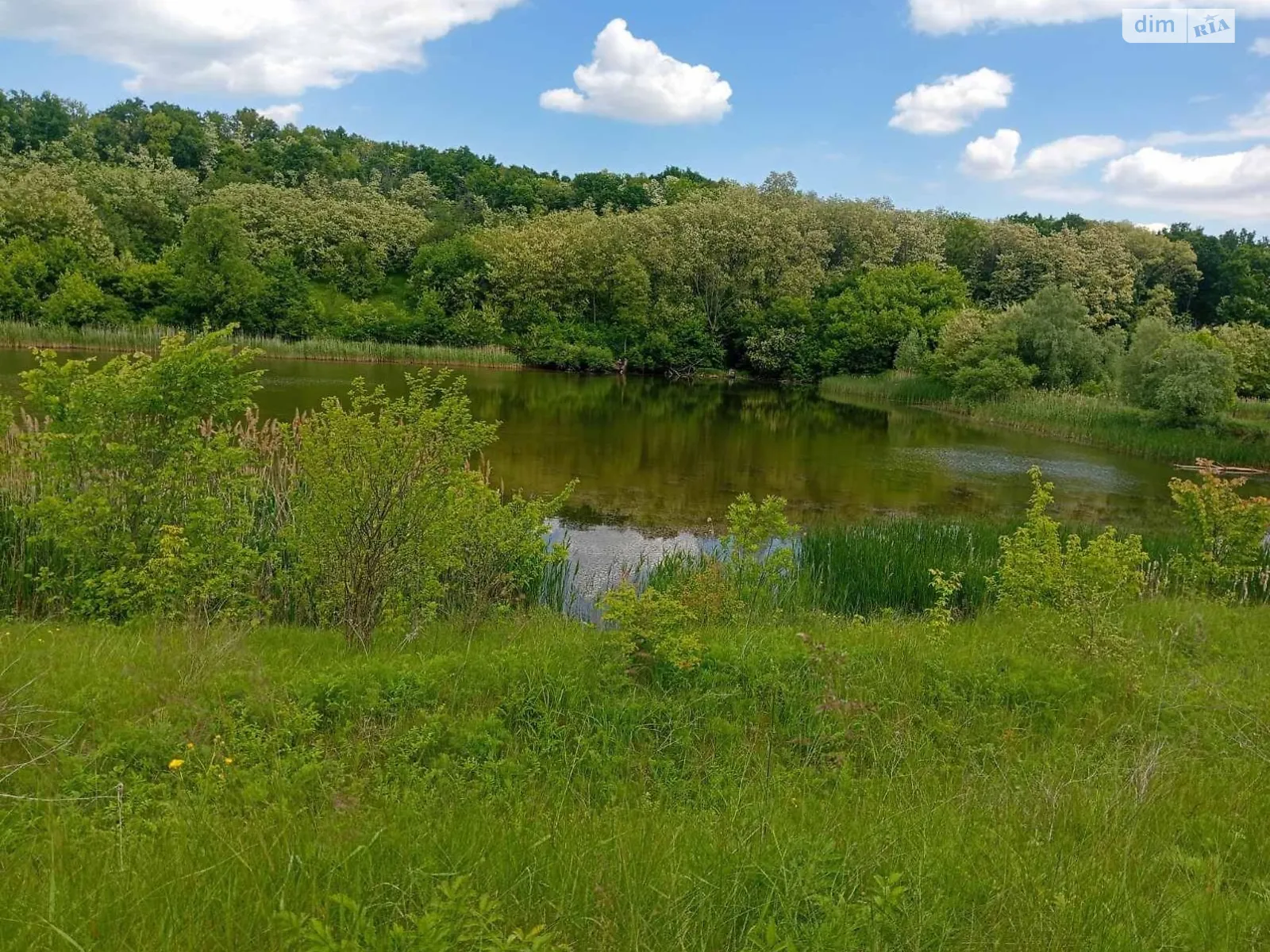 Здається в оренду земельна ділянка 6.7778 соток у Кіровоградській області, цена: 11981 грн - фото 1