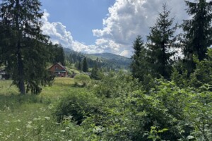 Продажа земли сельскохозяйственного назначения, Львовская, Славское