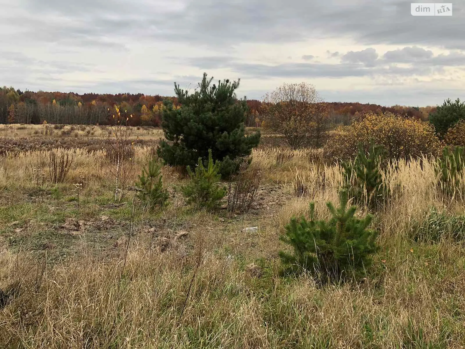 Сдается в аренду земельный участок 11.8129 соток в Волынской области, цена: 13996 грн - фото 1