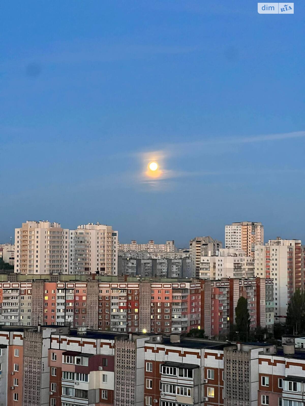 Прев'ю фото 33