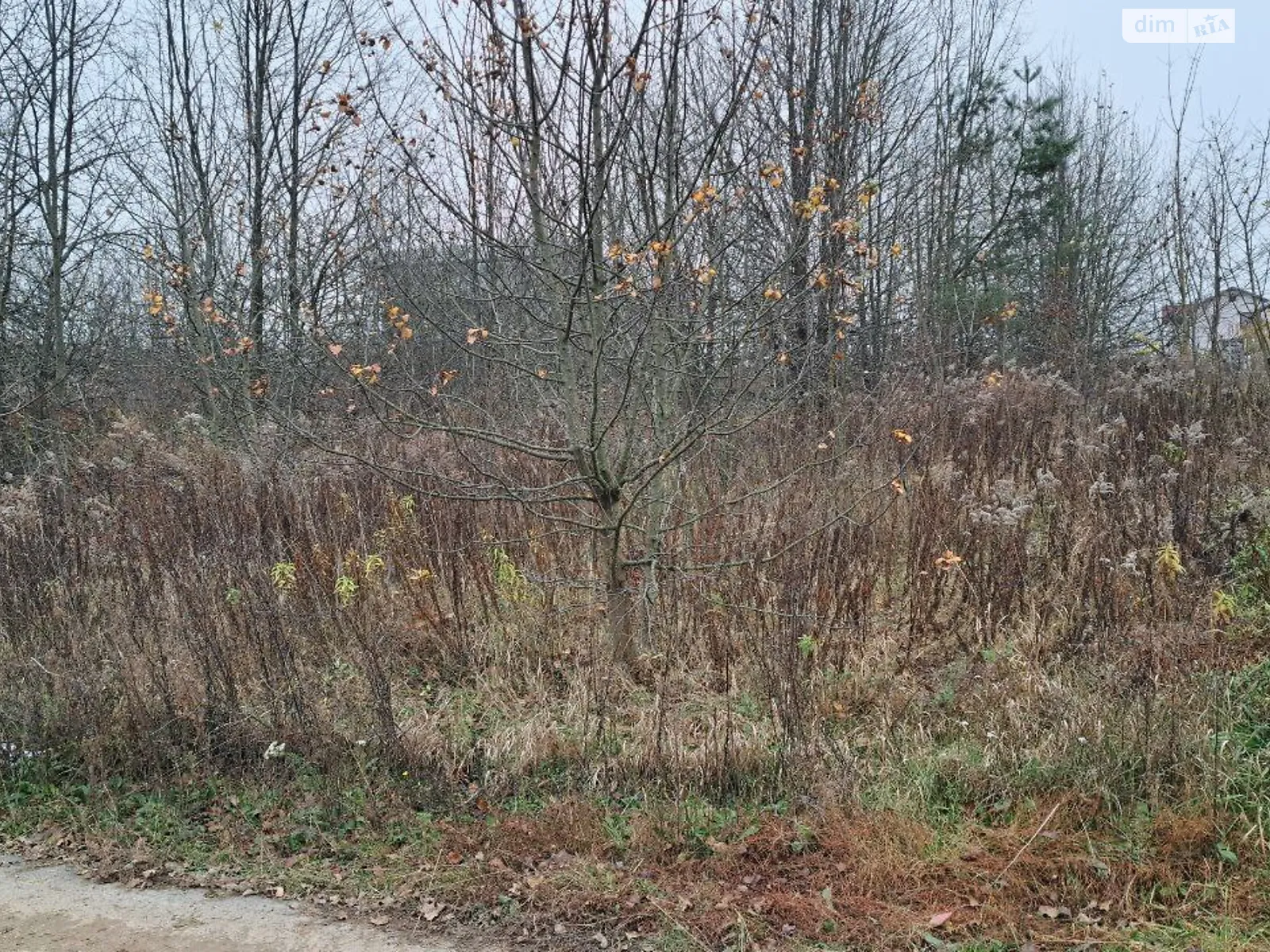 ул. Агрономическая Зарванцы, цена: 35000 $ - фото 1