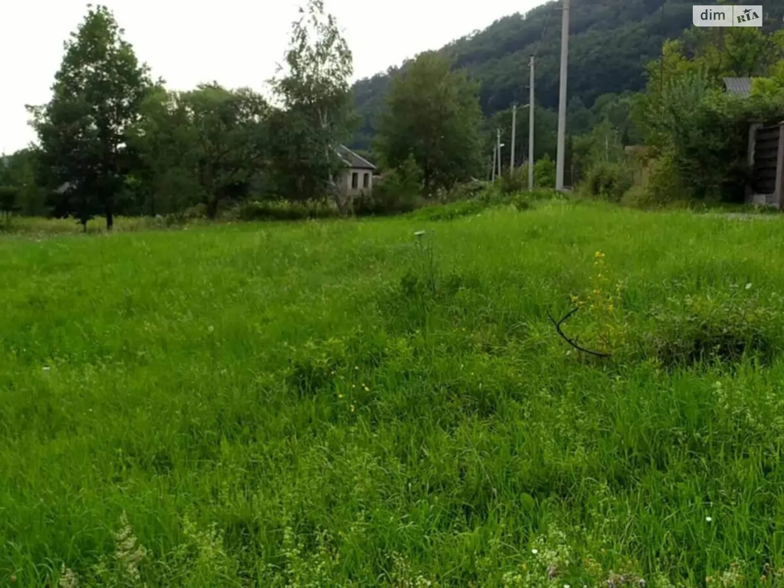 Продается земельный участок 10 соток в Закарпатской области, цена: 9850 $ - фото 1