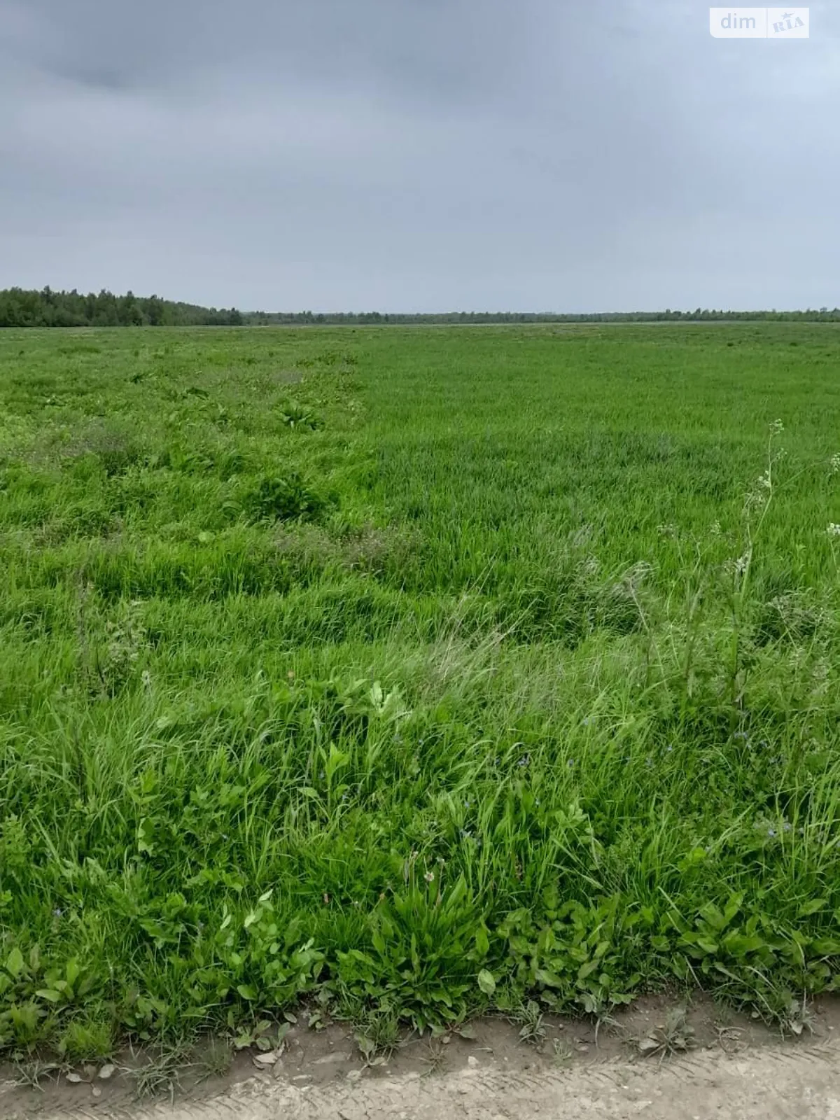 Гузіїв, цена: 24803 грн - фото 1