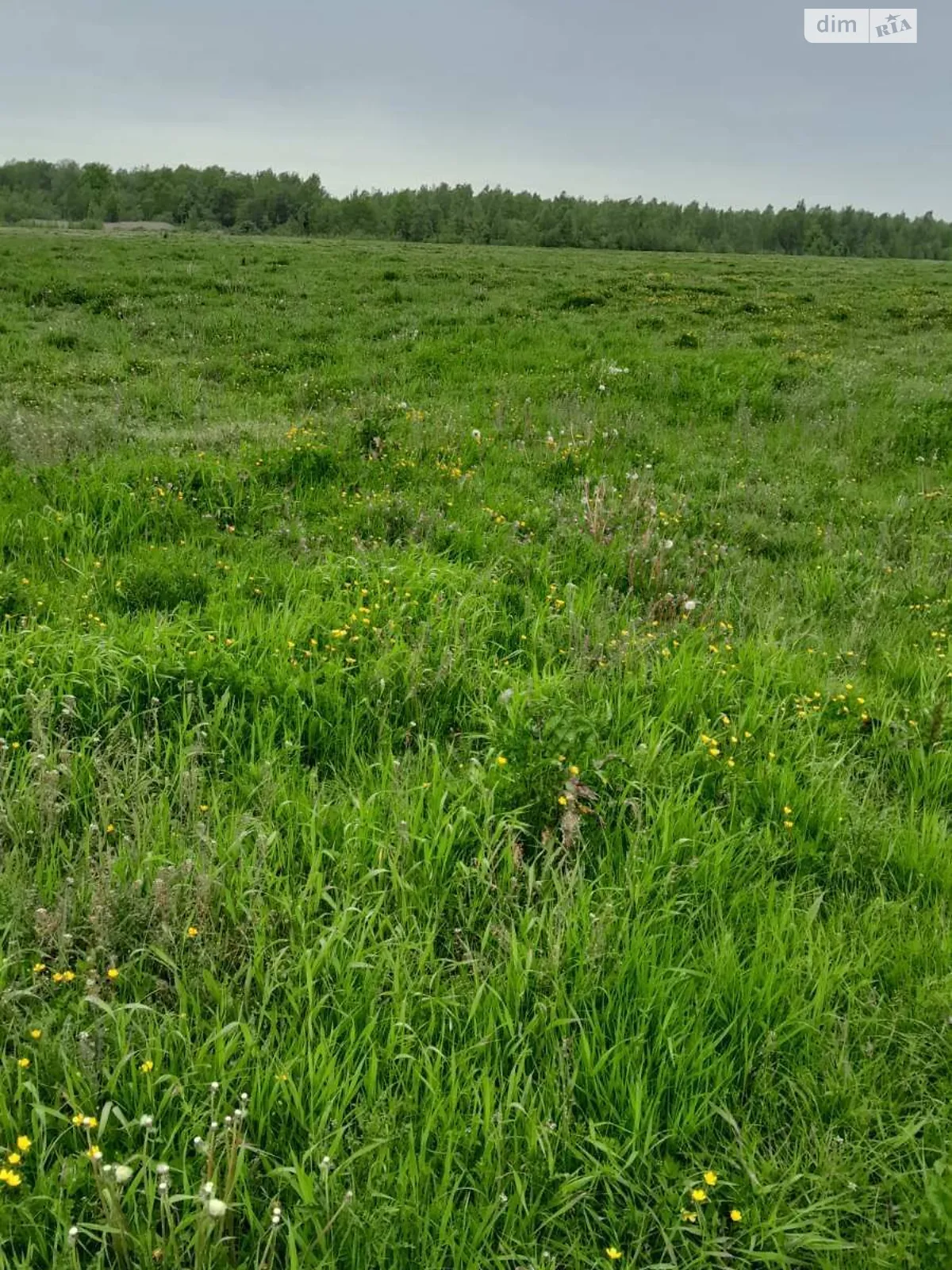 Болехов, цена: 1651 грн - фото 1