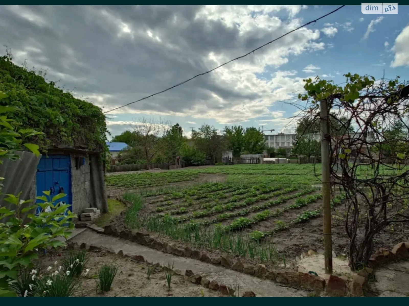 Продается одноэтажный дом 60 кв. м с подвалом, цена: 25000 $ - фото 1